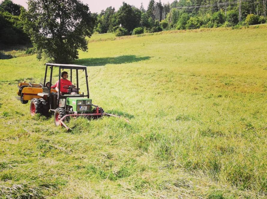 Grasbeschnitt Traktor Wald