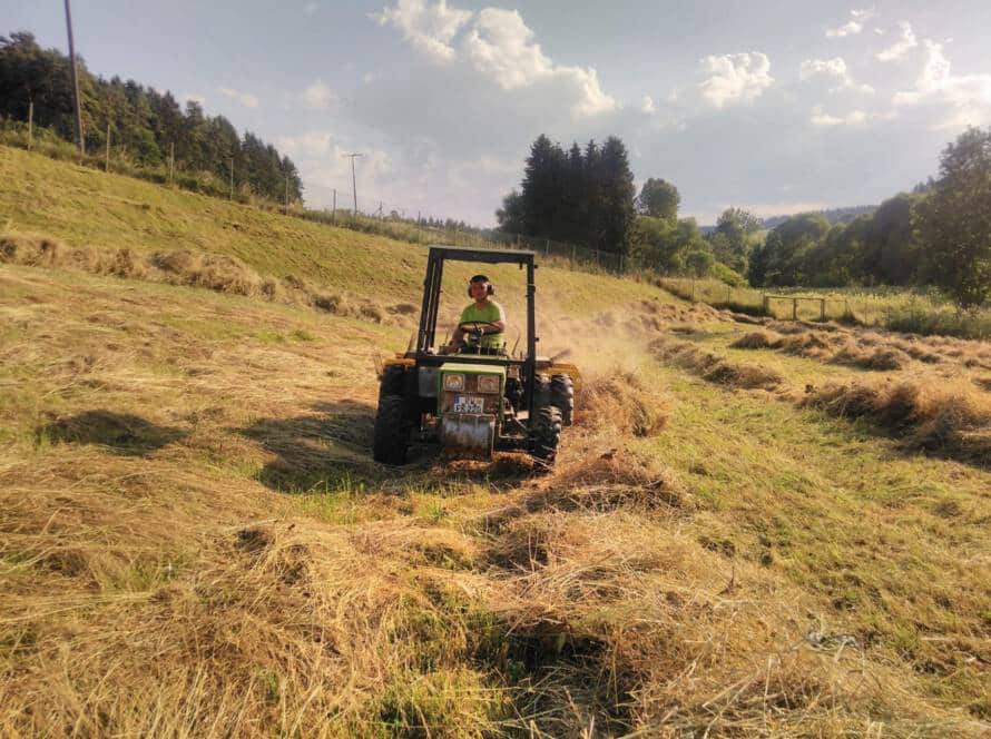 Heu Traktor Sommer
